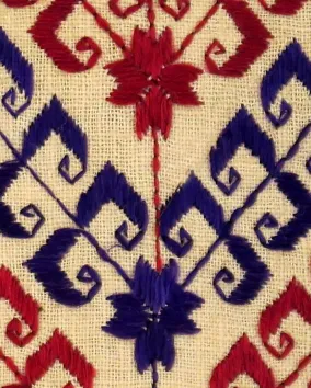 Phulkari embroidery sample