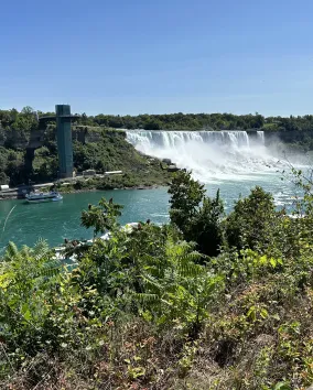 American Falls, © C. Chandran.