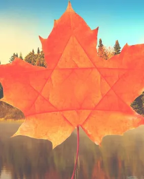 Search Out the Land - Festival poster