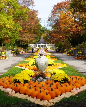 Image fournie par les Jardins botaniques royaux. Exposition d'automne au parc Hendrie.
