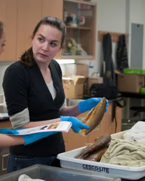 Two women examine a fish at an identification workshop.
