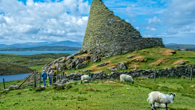 Sheep at Broch of Dun Carloway, Lewis, courtesy of Dennis Minty