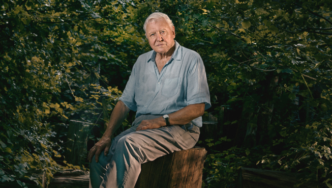 BBCE image of Sir David Attenborough 