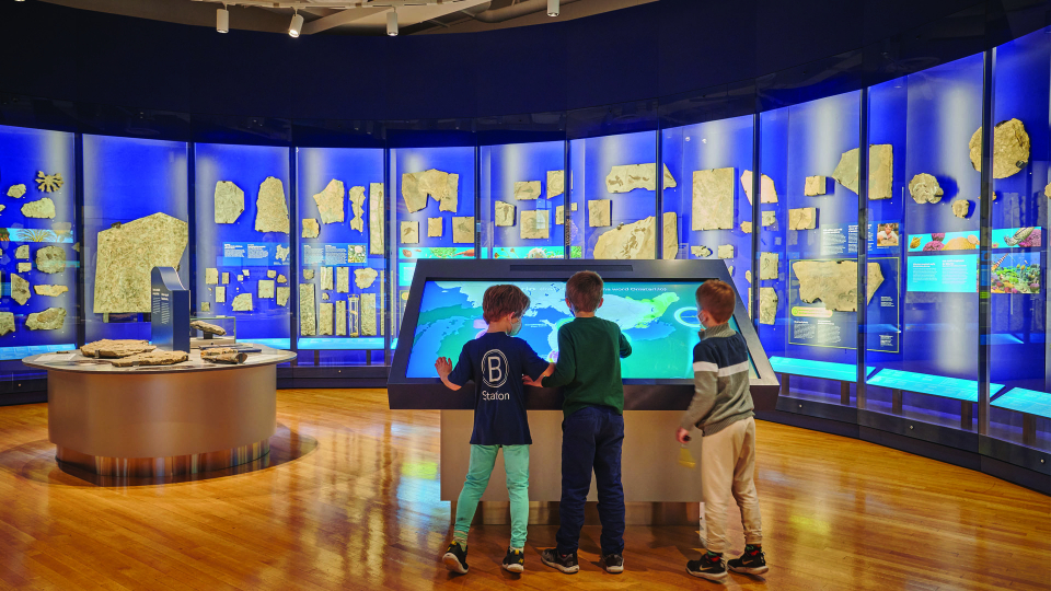 Children interacting with a gallery touchscreen in front of a curved wall display of fossils.