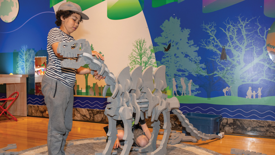 A child builds a free-standing sauropod dinosaur from large, foam "bones".