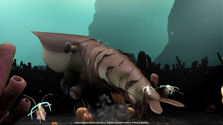 Illustration of an animal found in the Burgess Shale.