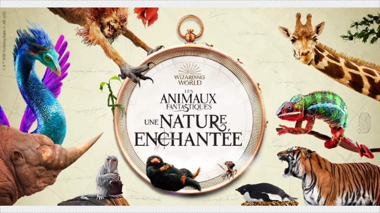 Logo des ANIMAUX FANTASTIQUES entouré de créatures et d'animaux 