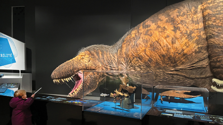 Photo of boy standing face to face with a large T. rex model.