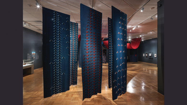 Vue d'installation de l'exposition Swapnaa Tamhane : Palais mobile avec des panneaux de coton bleu et rouge imprimé, au ROM.