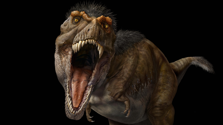 Illustration d'un T. rex adulte aux mâchoires grandes ouvertes vu de face.