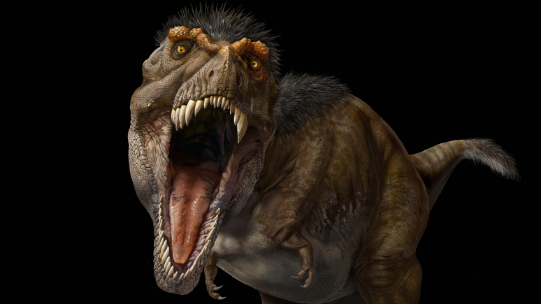 Front facing illustration of an adult T. rex with jaws open.