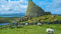 Sheep at Broch of Dun Carloway, Lewis, courtesy of Dennis Minty