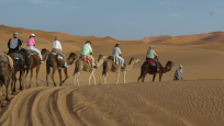 People riding camels on sand dunes.