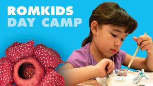 ROMKids Day Camp