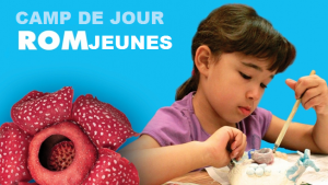 Montage photo sur fond bleu pâle : le logo Camp de jour ROMJeunes, une fleur rouge et une jeune fille travaillant à un projet d'art plastique.
