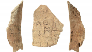 Oracle bones (inscribed bone), Shang Dynasty, China, 1400 - 1050 BCE, (960.237.2225, 960.237.542)
