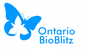 Ontario BioBlitz logo
