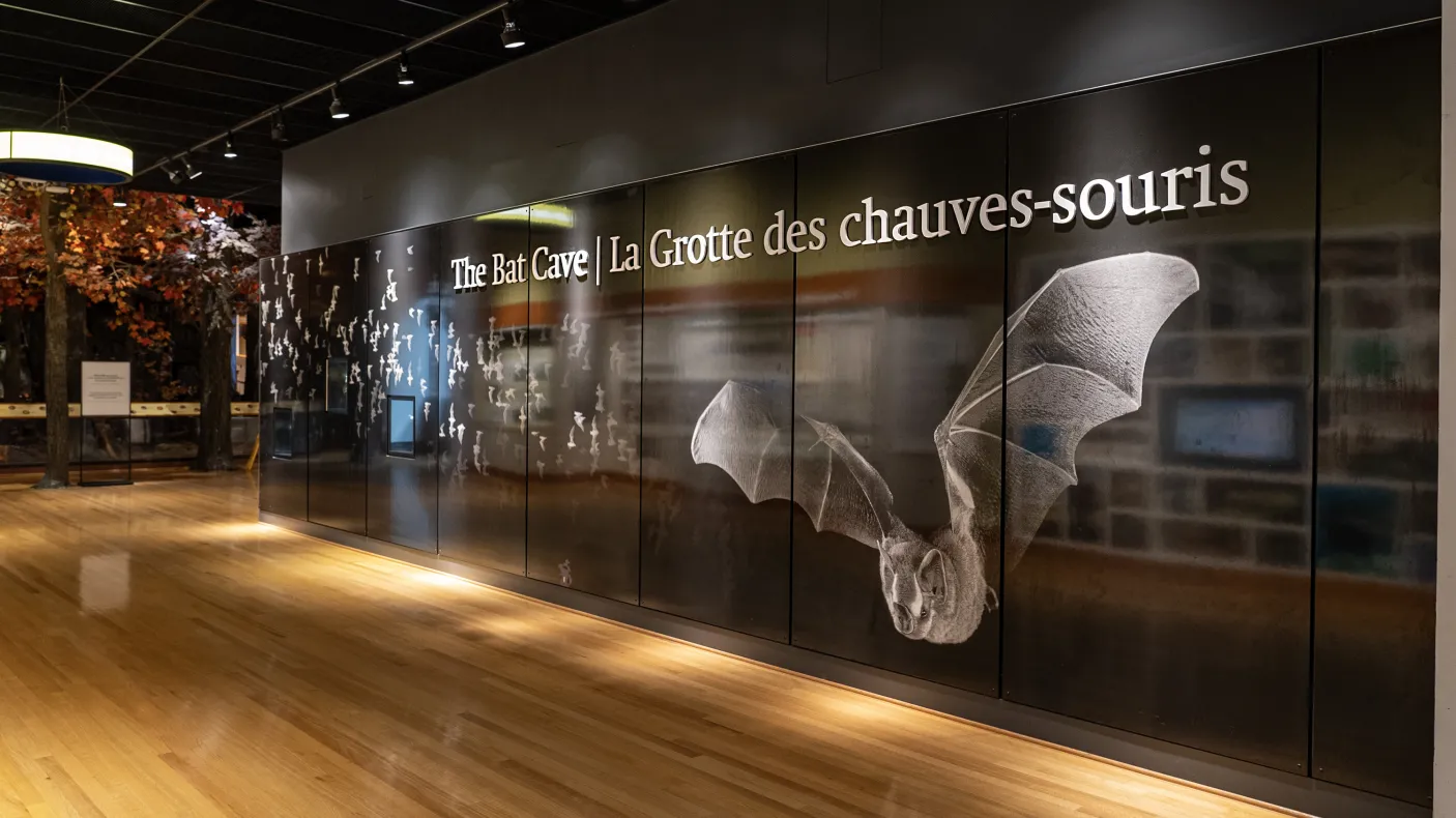 Bat cave gallery wall and entrance