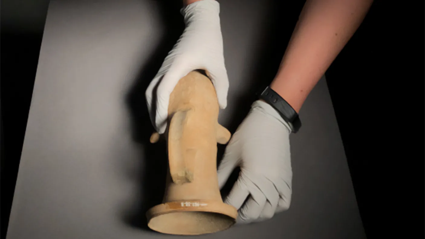 Photographer carefully placing collection item for photographing