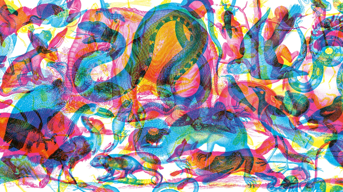 Illustration using red, green, and blue overlapping animal shapes