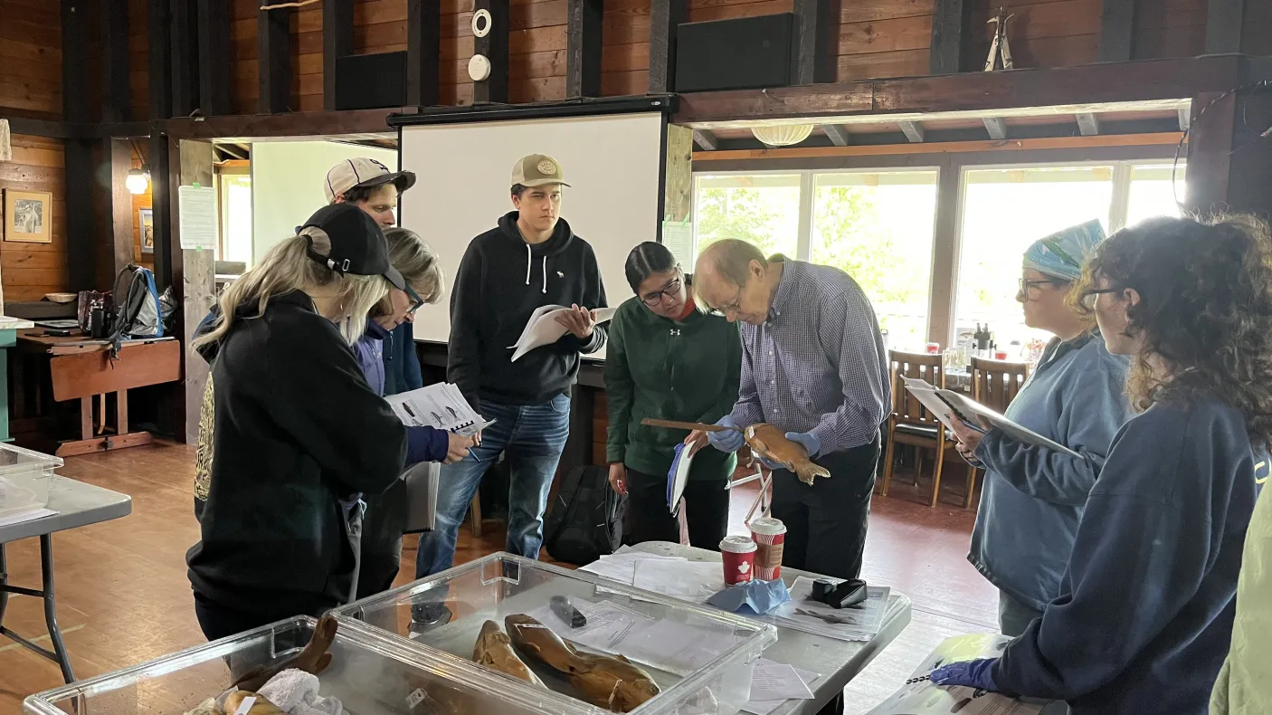 Group of students looking at fish.
