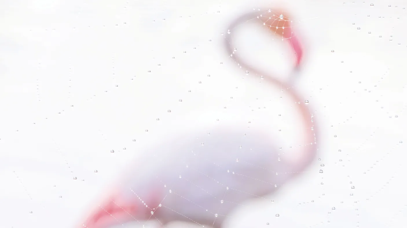 A photo of a flamingo behind dew 