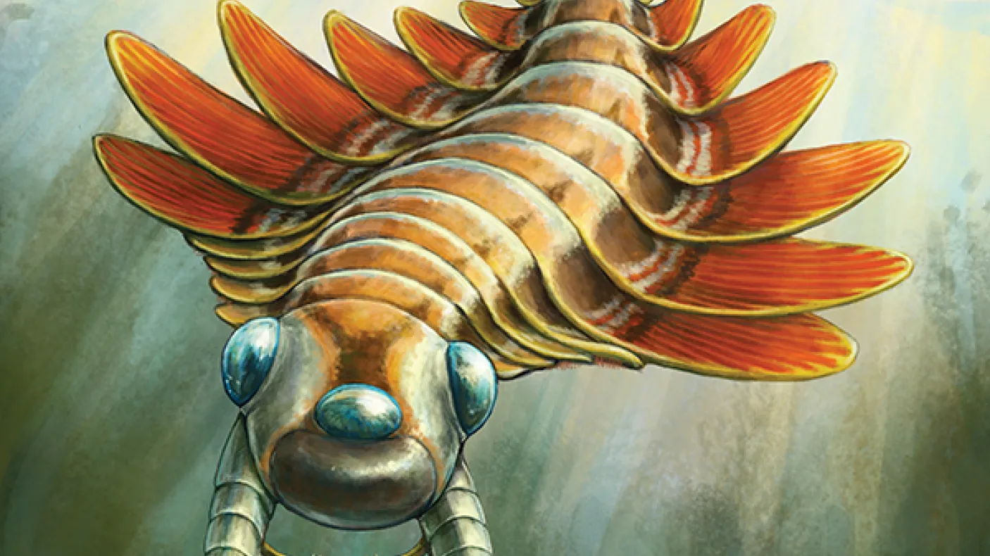 Life reconstruction of Mosura fentoni, art by Danielle Dufault © ROM