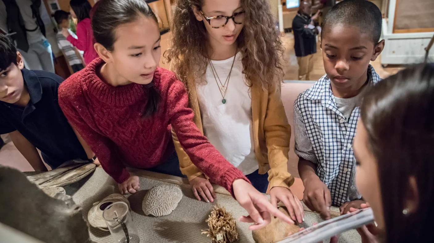 Students interacting with a collection item at ROM