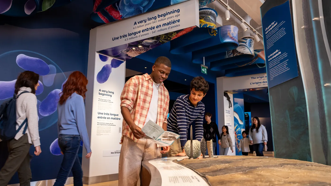 Two teenagers examine a display of ancient life