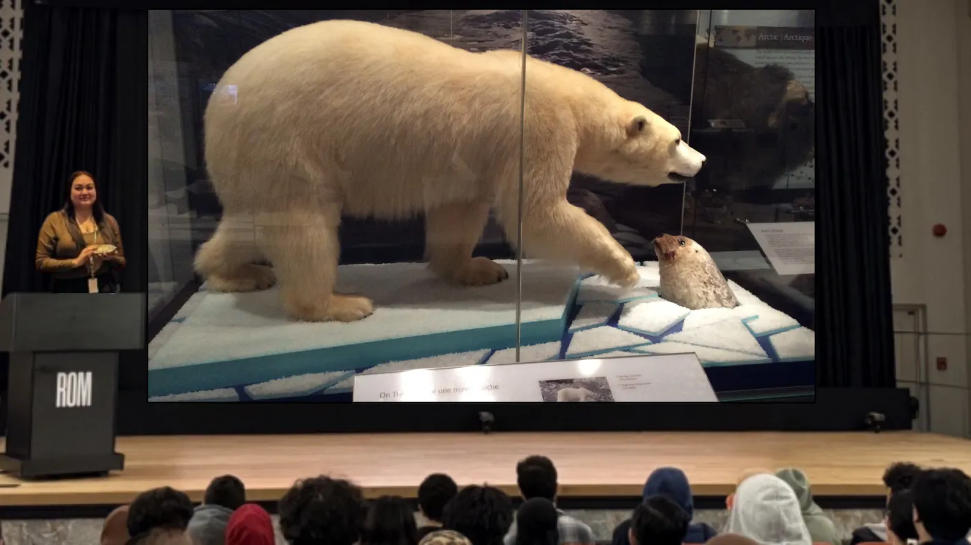A smiling Indigenous woman stands on a stage in front of an audience, behind a podium labelled ROM. A screen next to her displays an image of a display case showing a polar bear standing on ice next to a hole, through which a seal pokes its head.