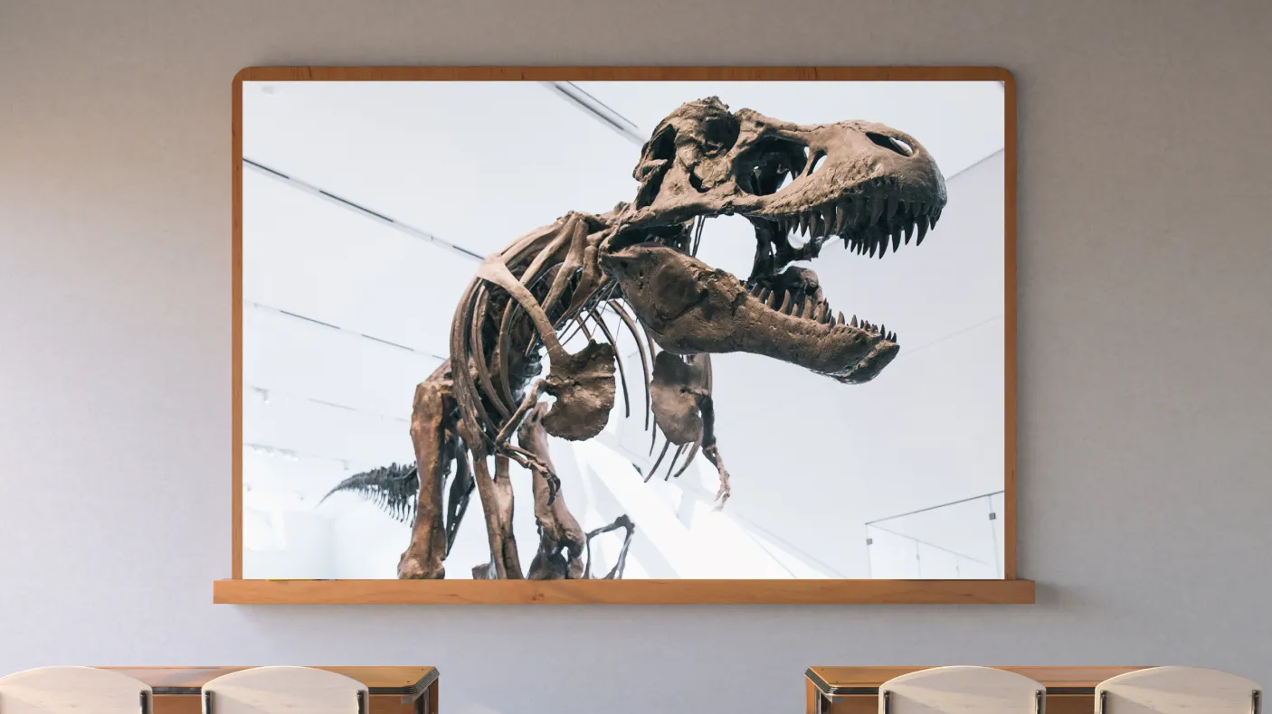 A screen in a classroom shows a dark brown skeleton of a Tyrannosaurus rex in a white gallery.