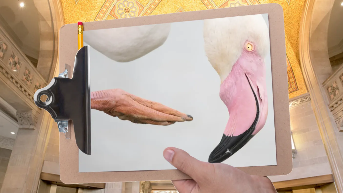 A hand holds a clipboard in front of a gallery with a mosaic ceiling. The clipboard is holding a picture of a flamingo’s head against a white background.