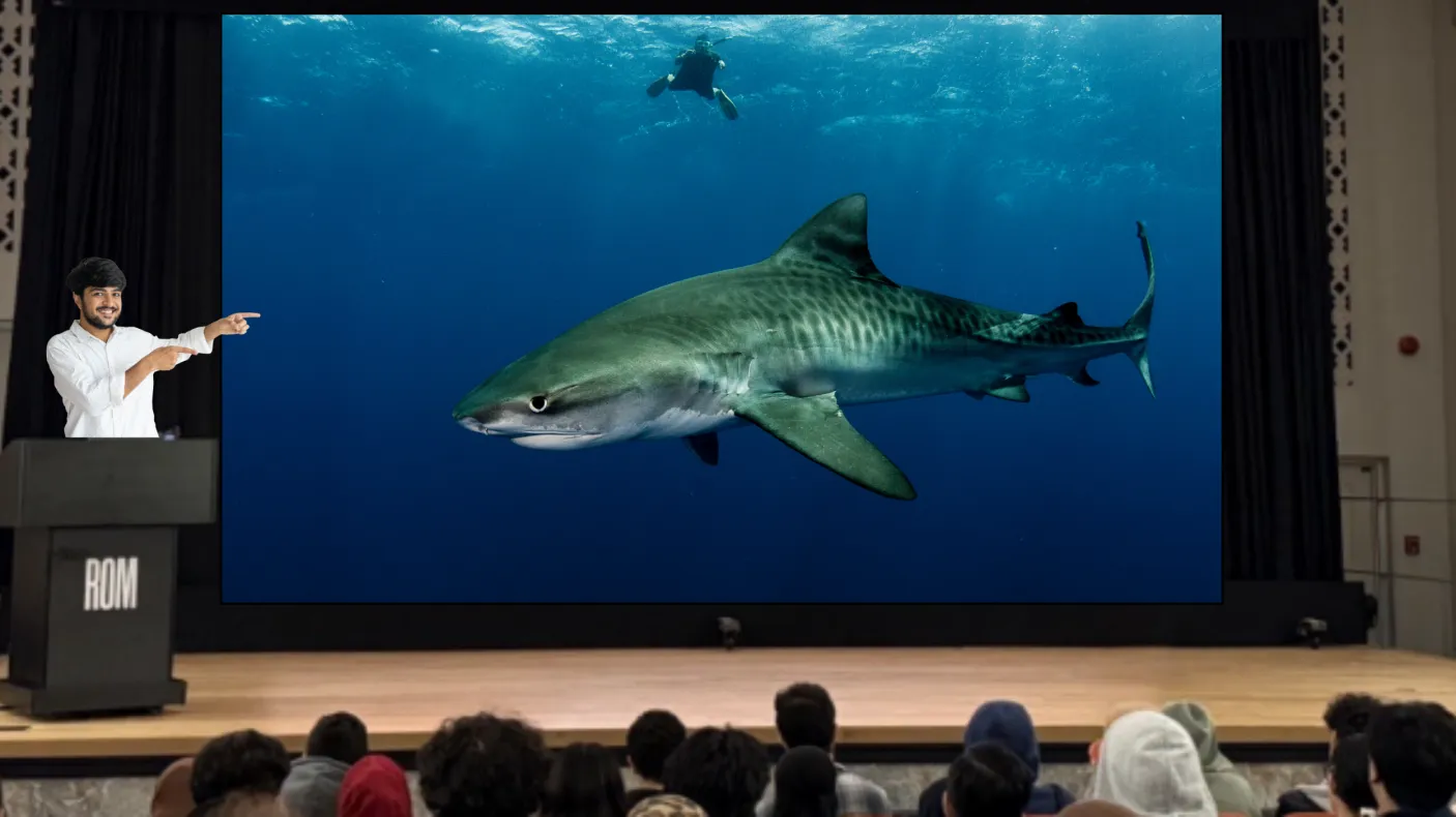 A man standing on stage in front of an audience points at a screen. On the screen, a large shark swims near the surface of the water. A diver is swimming in the background.