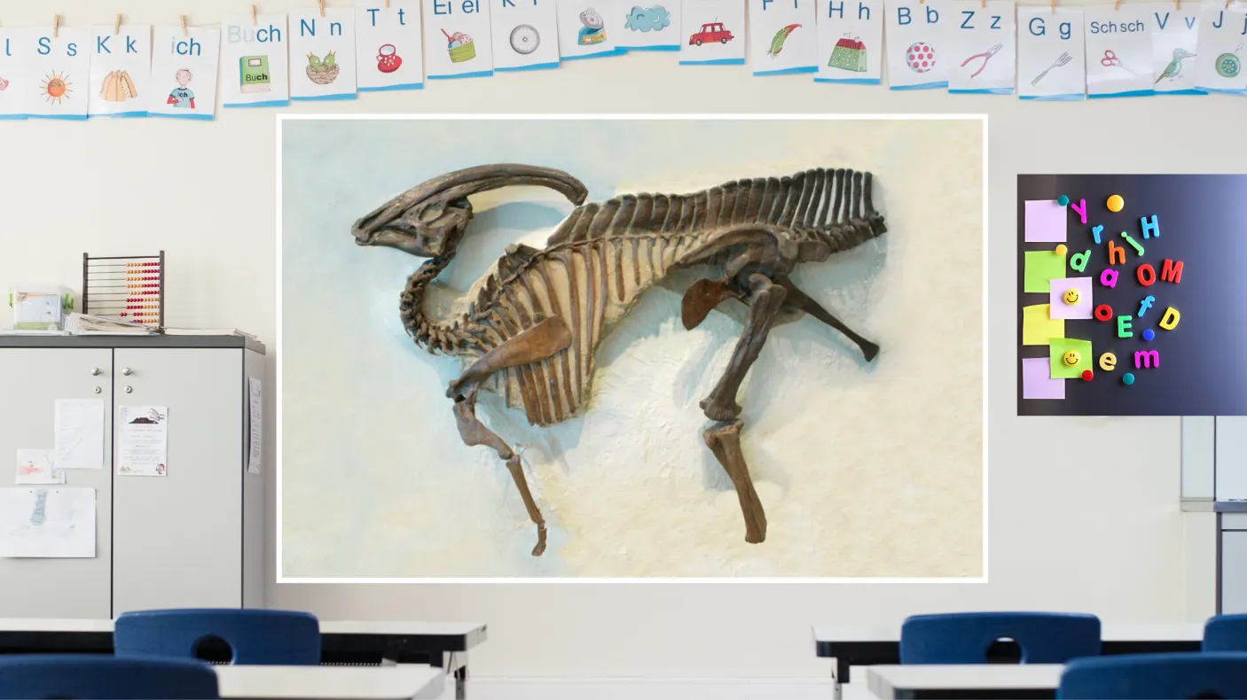 A screen in a colourful classroom shows a dark brown skeleton of a parasaurolophus, a duck-billed dinosaur with a crested skull, on a beige background.
