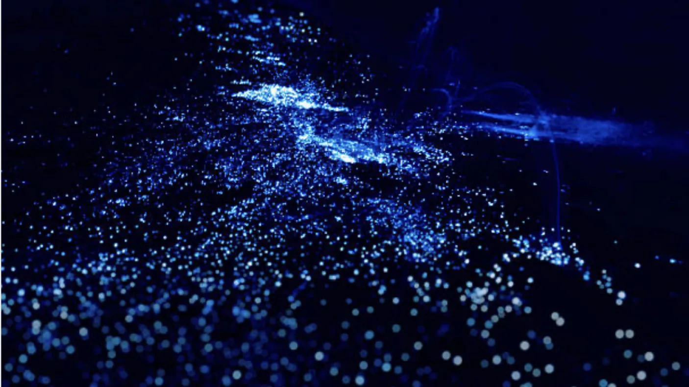 Illuminated Plankton 