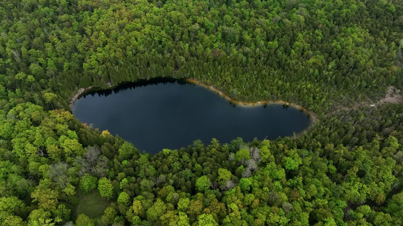Image of a lake in a forest from the air