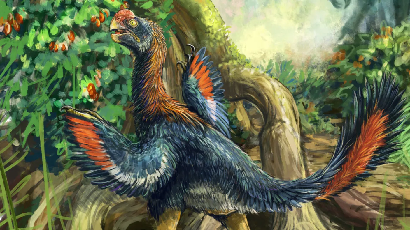 Life reconstruction of the Hell Chicken Infernogallus munching on early fruit.