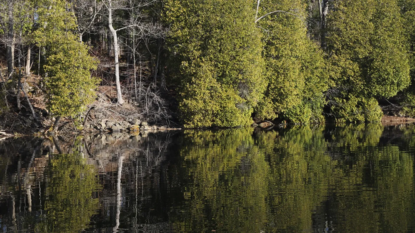 Crawford Lake