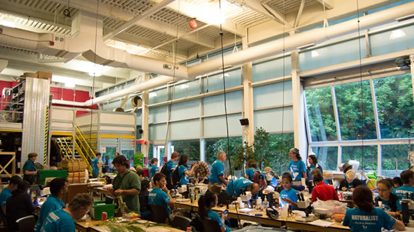 Wide view of the species depot at the 2015 Ontario BioBlitz, where scientists bring back specimens to examine and identify along tables with microscopes and field guides. Photo by Krystal Seedial
