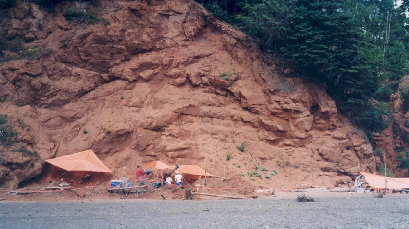 These rock layers near Parrsboro, Nova Scotia, hold Canada’s oldest dinosaurs. They are near the boundary of two chapters of geologic time – the Triassic and Jurassic Periods of the Mesozoic Era. (Photo by Victoria Arbour)
