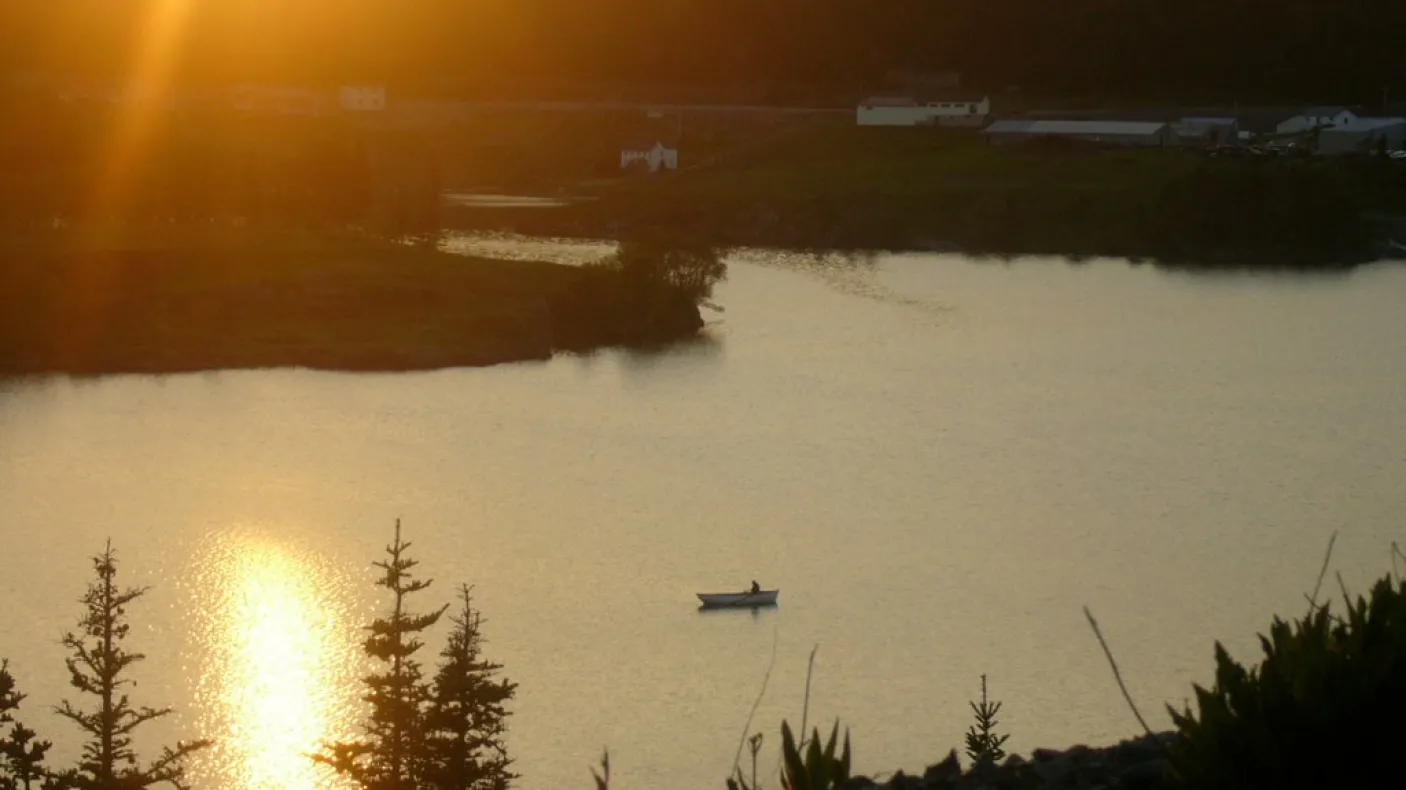 fishing boat in a harbour at sunset
