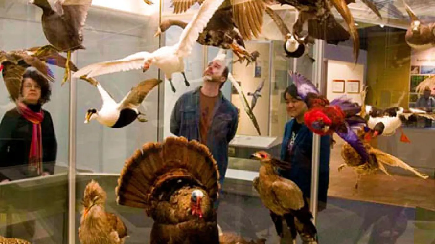 Visitors in the Birds Gallery
