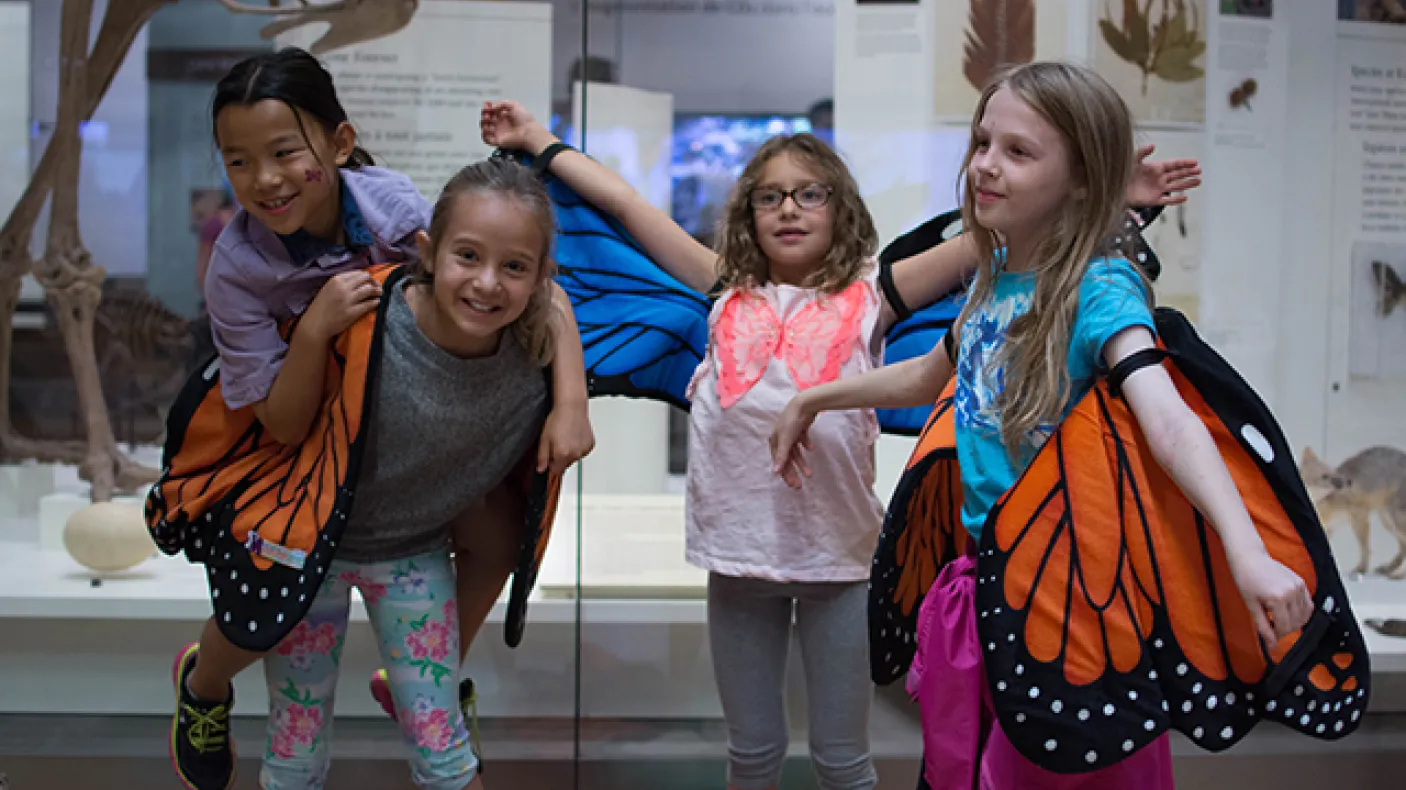 Four children stand with monarch wing costumes in front of an exhibit in the Schad Gallery at the ROM. Photo by Fatima Ali
