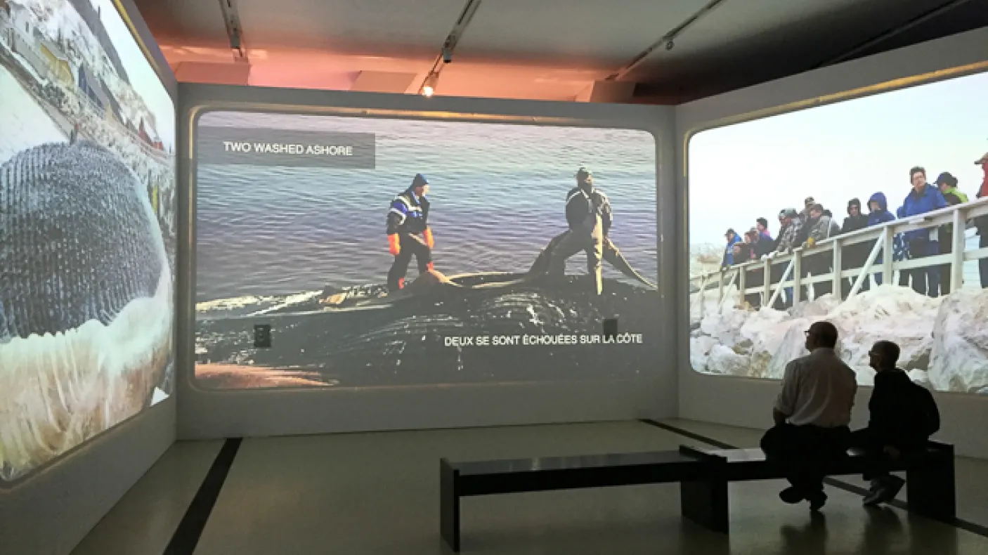 蓝鲸展馆的由来。| Entrée de l'exposition sur la baleine bleue. 照片由吴昊康 | Photo de Shawn Wu
