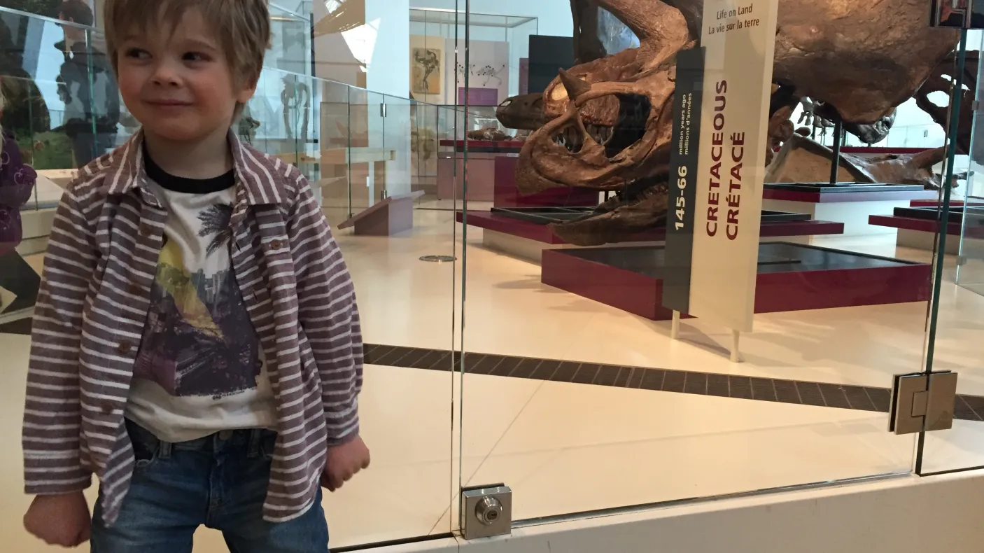 Theo stands next to a Triceratops skull in the Royal Ontario Museum's dinosaur gallery
