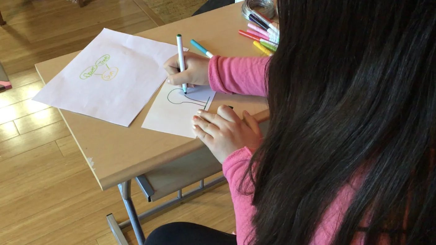 The back of a girl with long dark hair who is sitting at a desk and drawing an outline of a tree on a piece of paper with colourful markers.
