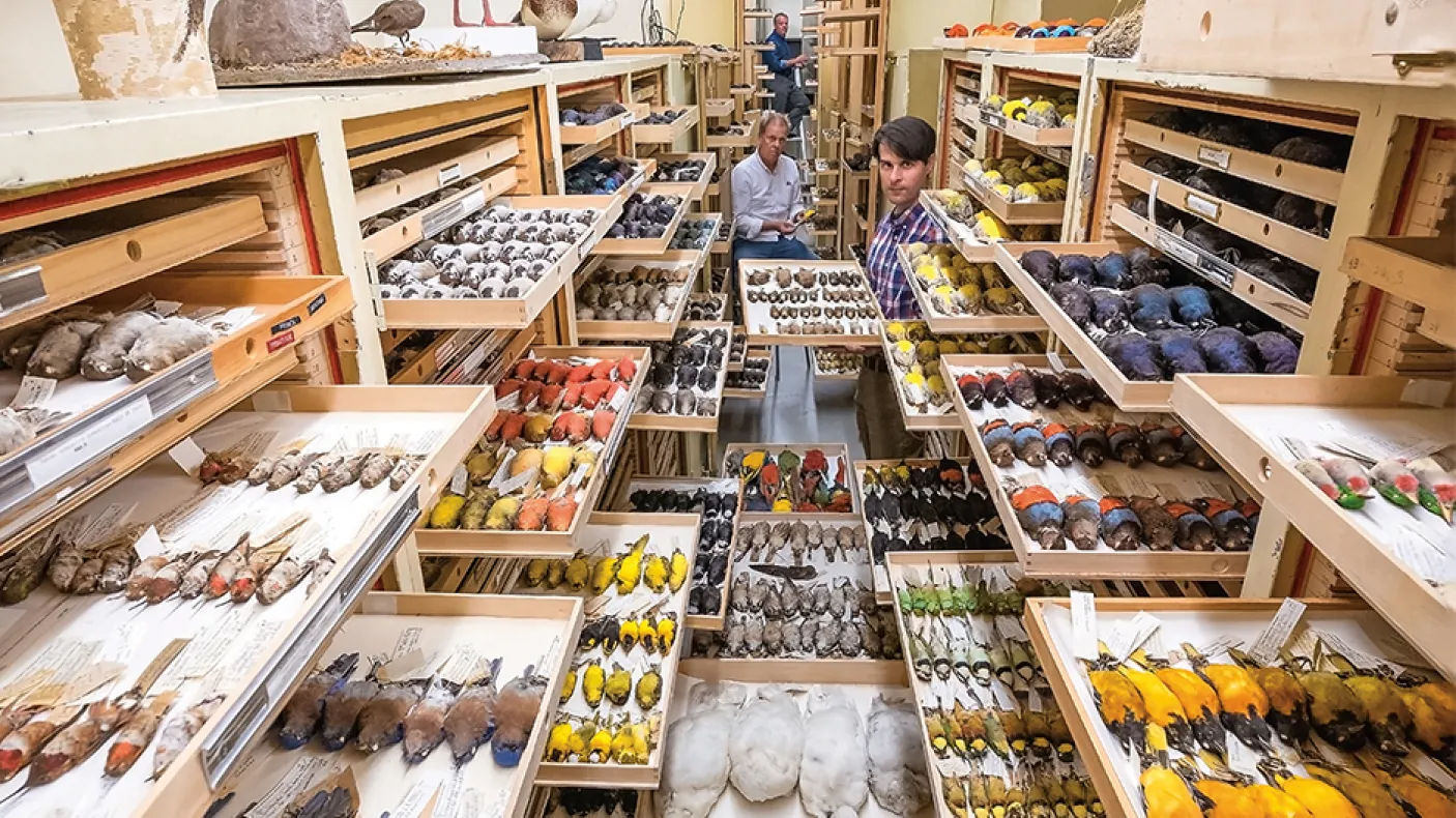 The Largest Bird Collection in Canada