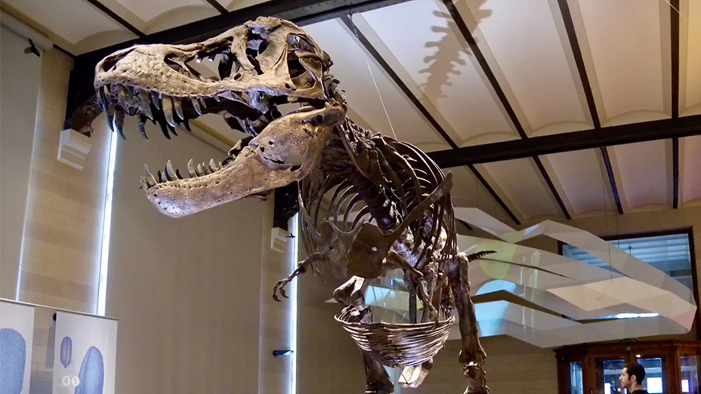 Dinosaur
