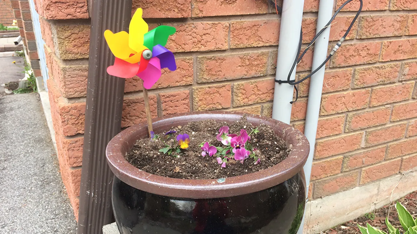 Potted flowers in front of a brick wall, with a rainbow pinwheel stuck in the pot's dirt.
