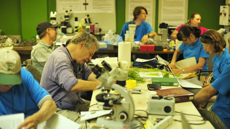 Scientists at work at Ontario BioBlitz Rouge Park 2012.